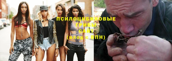 дурь Абаза